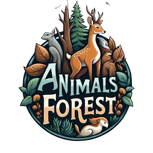Animals Forest